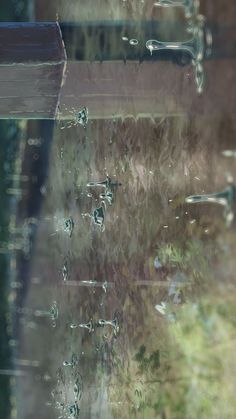 the reflection of trees and water in a window pane with raindrops on it