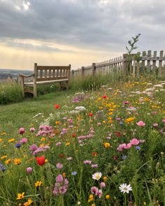 a wooden bench sitting on top of a lush green hillside covered in wildflowers