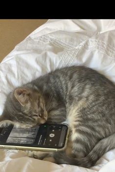 a cat laying on top of a cell phone in a white bedding room next to a pillow