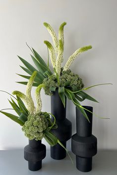 three black vases with green plants in them