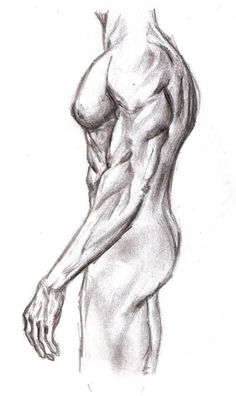 a pencil drawing of a man's back and arm, with no shirt on