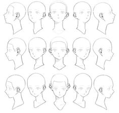 the various types of head shapes