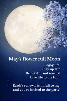 It's the May Flower Moon!
Use the intense energy of the full Moon to release what’s no longer serving you and call in new abundance and prosperity. Make the full Moon phase a positive experience, harness full Moon power for release rituals, wiccan inspired spells. Witchcraft with crystals, spell books, meditation and chakra cleansing. Balance divine feminine energies and get emotional healing by letting go. Full flower Moon, correspondences flower moon meaning Flower Full Moon Rituals, Flower Moon Meaning, Pink Full Moon 2024, Full Flower Moon, Flower Moon Correspondences, May Full Moon, Full Moon Tonight