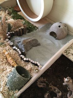 an animal habitat with rocks and gravel in the ground next to a potted plant