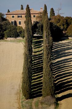 an old house with trees in the foreground and dirt road leading up to it