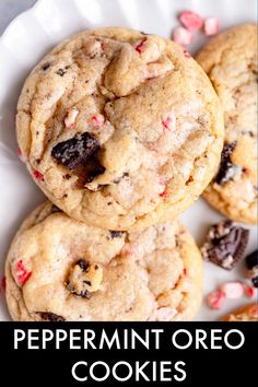 peppermint oreo cookies on a white plate