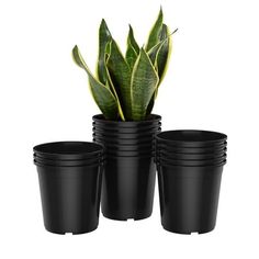 four black plastic cups are stacked next to each other with a green plant in the middle