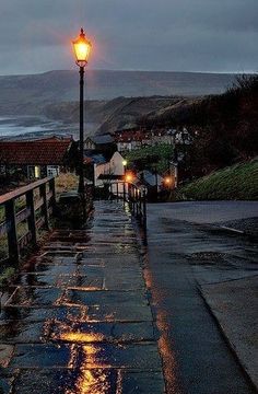 a street light sitting on the side of a wet road