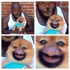 Face Swap Fails, Funny Face Swap, 9gag Funny, Puppy Images, Scary Faces, Face Swaps, Memes Xd, 웃긴 사진, Animal Faces