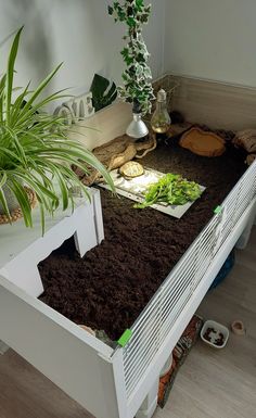 a bed with plants on top of it and dirt in the bottom drawer, next to a potted plant