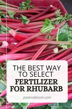 the best way to select fertilizer for rhubarb is with this recipe