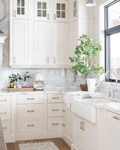 a kitchen with white cabinets and marble counter tops, along with a potted plant