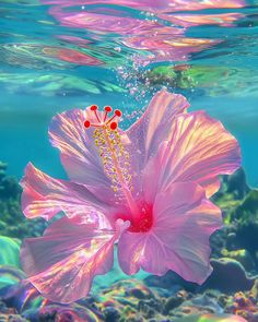 a pink flower floating in the water with bubbles on it's head and bottom