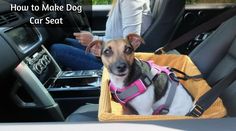 a dog sitting in the back seat of a car wearing a pink harness and leash