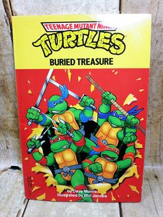 the teenage mutant ninjas buried treasure book