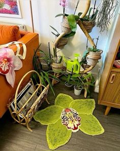 a living room filled with lots of plants and decor on top of hard wood flooring