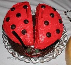 a cake shaped like a ladybug sitting on top of a plate