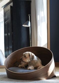 a dog laying in a wooden bed on the floor next to a lamp and chair