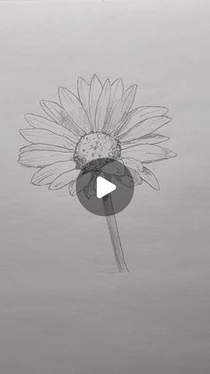 a drawing of a sunflower on a gray background