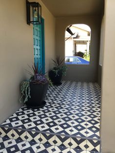 two potted plants sitting on top of a black and white tiled floor next to a blue door