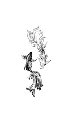 two black and white koi fish flying in the air with their tails spread out