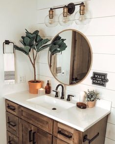 a bathroom with a sink, mirror and potted plant