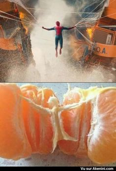 two pictures with oranges and the caption who did it better?, which one is