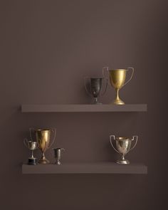 three white shelves with gold and silver trophies on them against a dark brown wall,