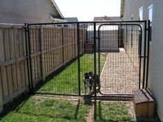 a dog is standing in the gated yard next to a fence and grass area