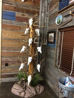 there is a tree made out of antlers in the corner of a room with wood walls