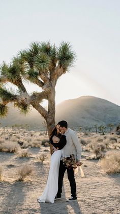 a bride and groom kissing in front of a joshua tree