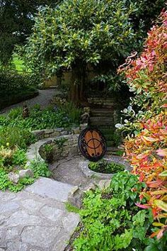 a garden with lots of plants and rocks