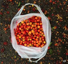 a bag full of cherries sitting on the ground