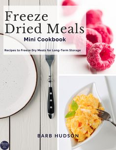 the freeze - dried meals mini cookbook includes four different types of food, including eggs and