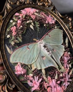 a close up of a butterfly on a mirror with flowers in it's frame