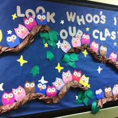 a bulletin board with owls and stars on it that says look who's in our class