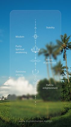 a poster with the names of different types of trees