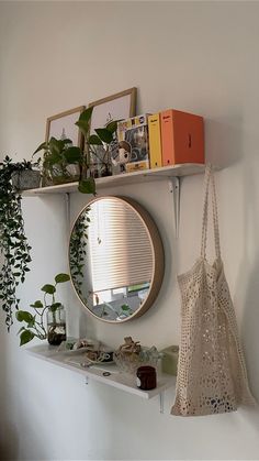 there is a mirror and some plants on the shelf