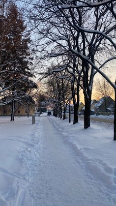 a snow covered road with trees and houses in the background