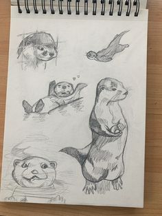 a pencil drawing of otters and seagulls in various poses on a notepad