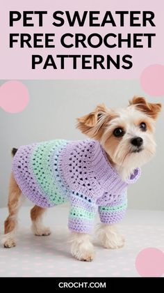 a small dog wearing a sweater with the words pet sweater free crochet patterns