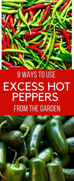 green peppers and red peppers with the title 9 ways to use excess hot peppers from the garden