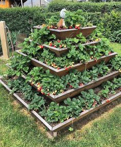 a garden tower made out of wooden boxes filled with strawberries and other fruit plants