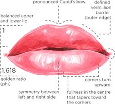 Restylane Lip Anatomy, Nurse Injector Aesthetic, Restylane Lips, Aesthetics Nurse, Aesthetic Nurse Injector, Aesthetic Nurse, Nurse Injector, Facial Anatomy, Cosmetic Injectables