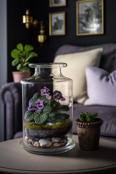 Flowering plant terrarium in purple aesthetic living room Inside Garden, Aquarium Terrarium, Terrarium Plants, House Plants Decor, Home Decorating Ideas