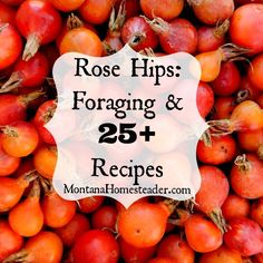 a pile of red apples with the words rose hips foraging and 25 recipes on it