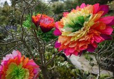 three colorful flowers are in the middle of some bushes and trees, with one large flower on it's head