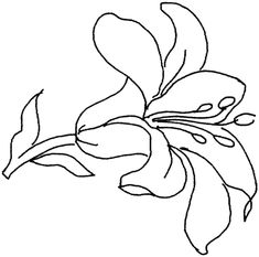 a drawing of a flower on a white background