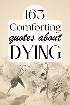 the words,'65 comforting quotes about dying'are shown in black and white