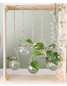 some glass vases with plants in them hanging from strings on a shelf next to a stuffed animal